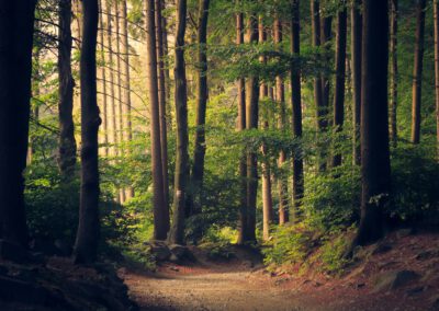 Outdoor Empowermentwochenende